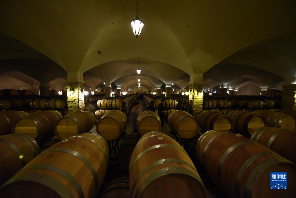 小葡萄撬動大產業